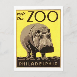Cartão Postal Z00 - Hippo