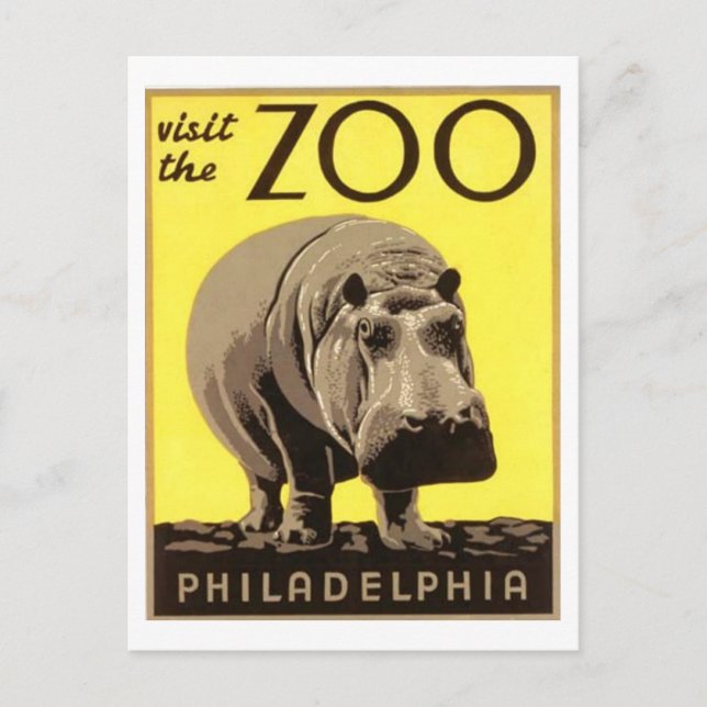 Cartão Postal Z00 - Hippo (Frente)