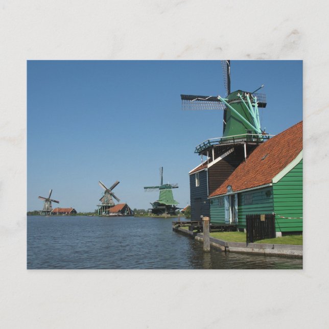 Cartão Postal Zaanse Schans Windmills na Holanda (Frente)