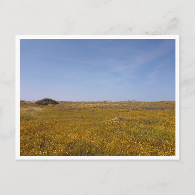 Cartão Postal Zahara de los Atunes, Andaluzia (Espanha) (Frente)