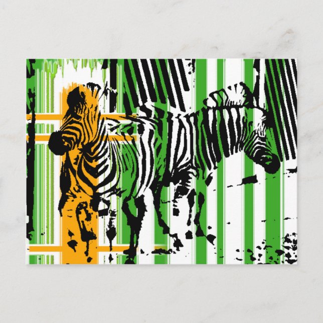Cartão Postal Zebra (Frente)