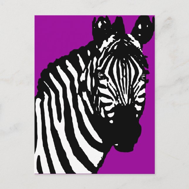 Cartão Postal zebra. (Frente)