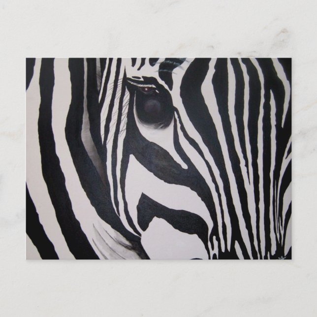 Cartão Postal Zebra (Frente)