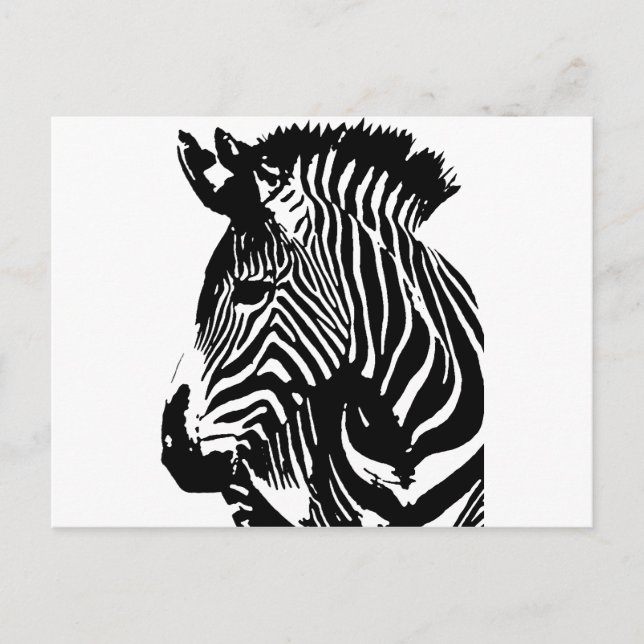 Cartão Postal Zebra (Frente)