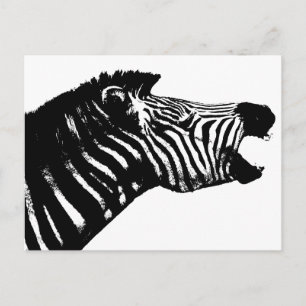 Cartão Postal Zebra