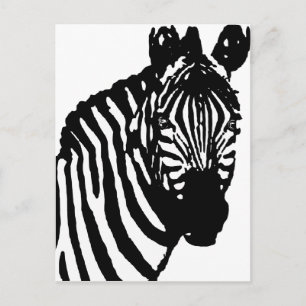 Cartão Postal zebra.