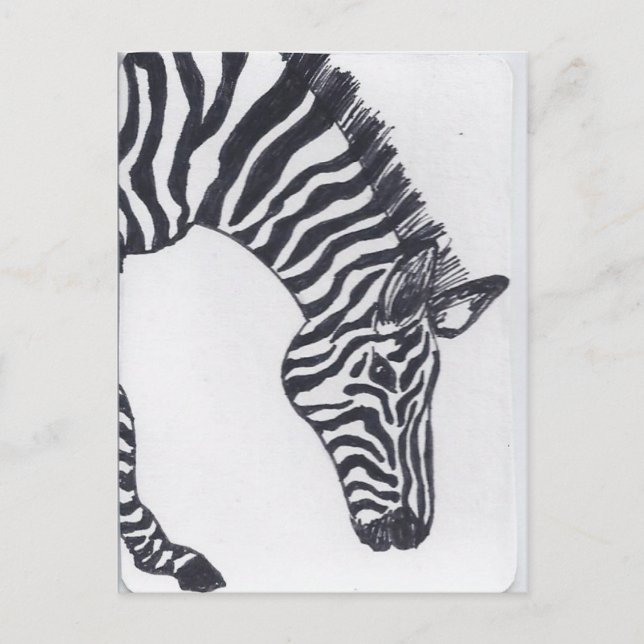 Cartão Postal Zebra (Frente)
