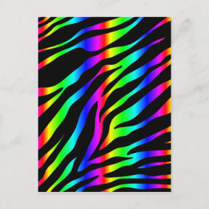 Cartão Postal zebra arco-íris