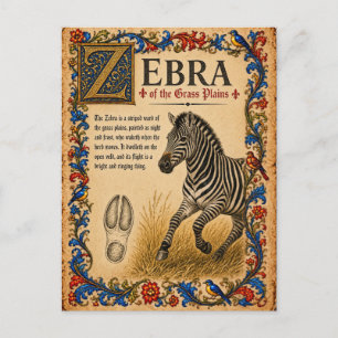 Cartão Postal Zebra, Arte do Bestiário Medieval