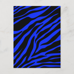 Cartão Postal zebra azul