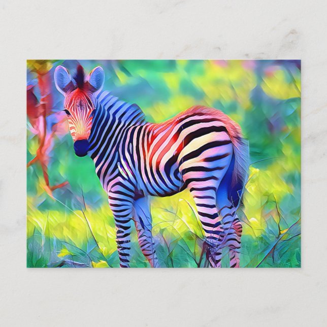 Cartão Postal zebra bebê africana (Frente)