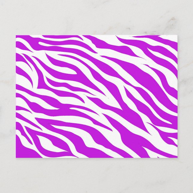 Cartão Postal Zebra Branca Roxo Roxo Impressão Animal Selvagem (Frente)