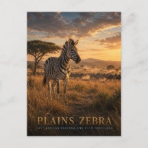 Zebra-da-planície Savana da África Oriental ANIMAI