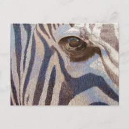 Cartão Postal Zebra de Grant