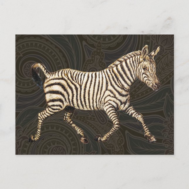 Cartão Postal zebra de safra com design paisley (Frente)
