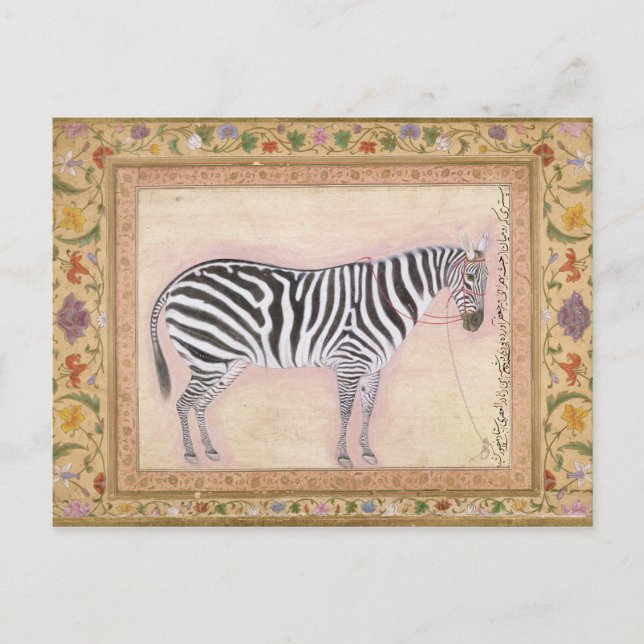 Cartão Postal Zebra, do 'Minto Album', 1621 (gouache sobre pa (Frente)