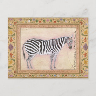 Cartão Postal Zebra, do 'Minto Album', 1621 (gouache sobre pa