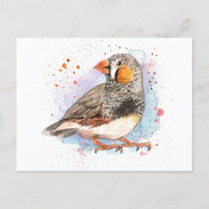 Cartão Postal Zebra Finch