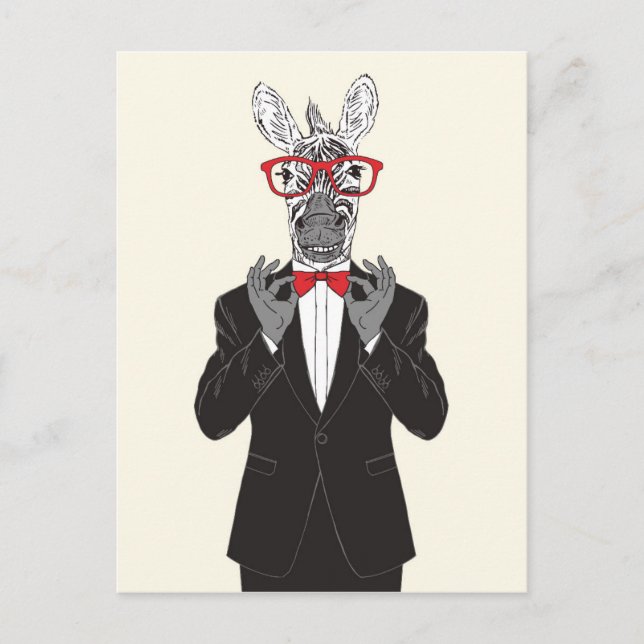 Cartão Postal Zebra Gentleman (Frente)