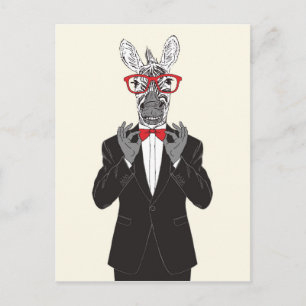 Cartão Postal Zebra Gentleman