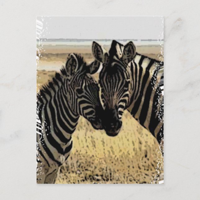 CARTÃO POSTAL ZEBRA LOVE (Frente)