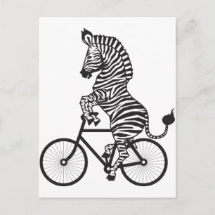 Cartão Postal Zebra na bicicleta