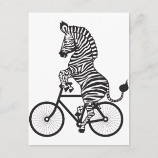 Cartão Postal Zebra na bicicleta