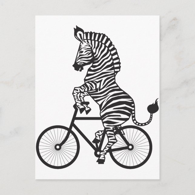 Cartão Postal Zebra na bicicleta (Frente)