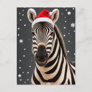 Cartão Postal Zebra Natal