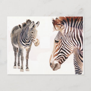 Cartão Postal "Zebra Pair" Aquarela Arte Selvagem