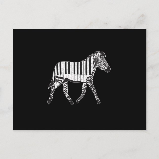Cartão Postal Zebra Piano Keyboards Piano Player Pianist Musicia (Frente)