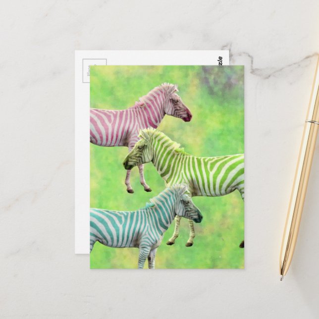 Cartão Postal Zebra Pink Blue Green (Frente/Verso In Situ)