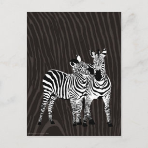 Cartão Postal Zebra Play