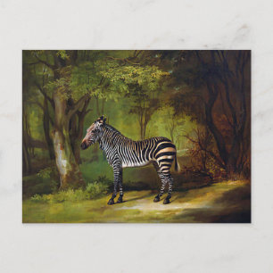 Cartão Postal Zebra por George Stubbs