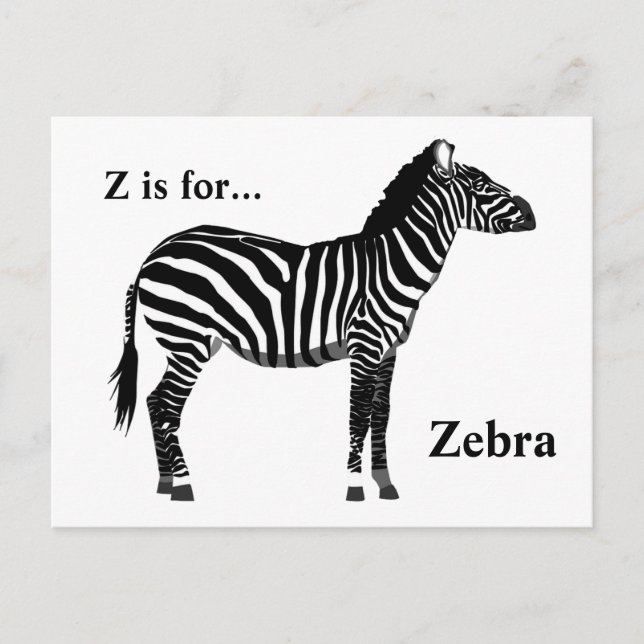 Cartão Postal Zebra - Preto e Branco (Frente)
