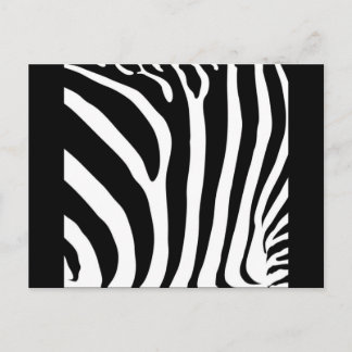 CARTÃO POSTAL ZEBRA PRINT