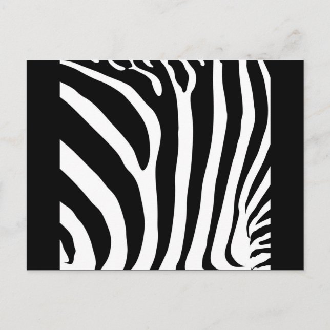 CARTÃO POSTAL ZEBRA PRINT (Frente)