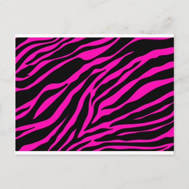 Cartão Postal zebra rosa (Frente)