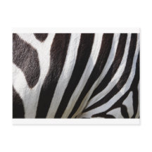 Zebra Skin Impressão
