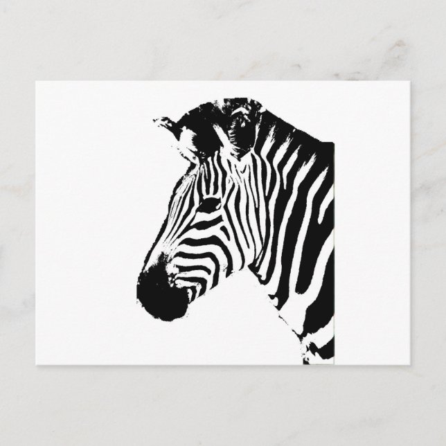 Cartão Postal Zebra Stencil (Frente)