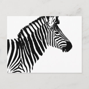 Cartão Postal Zebra Stripes