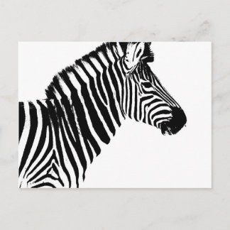 Cartão Postal Zebra Stripes