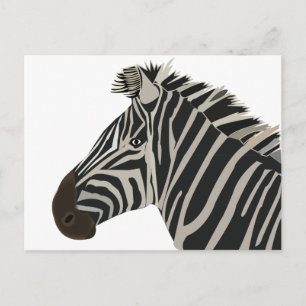 Cartão Postal Zebra Stripes Animais Selvagens