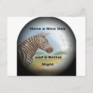 Cartão Postal Zebra tendo um bom dia e uma noite melhor.