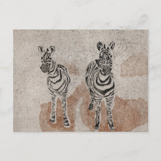 Cartão Postal Zebras