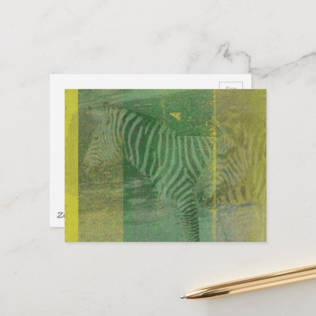 Cartão Postal Zebras (Frente/Verso In Situ)