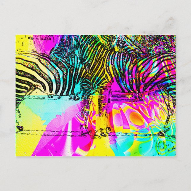 Cartão Postal Zebras Coloridas (Frente)