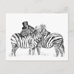 Cartão Postal zebras de casamento