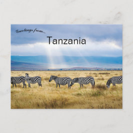 Cartão Postal Zebras na Tanzânia 