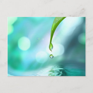 Cartão Postal zen 4